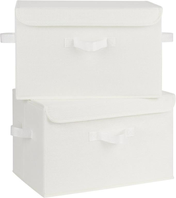 GRANNY SAYS Storage Bins with Lids - 2 Pack